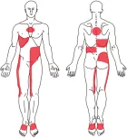 body_gel