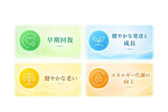 期待される効果